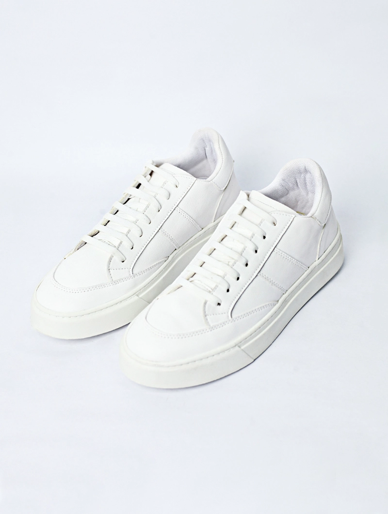 Baskets basses